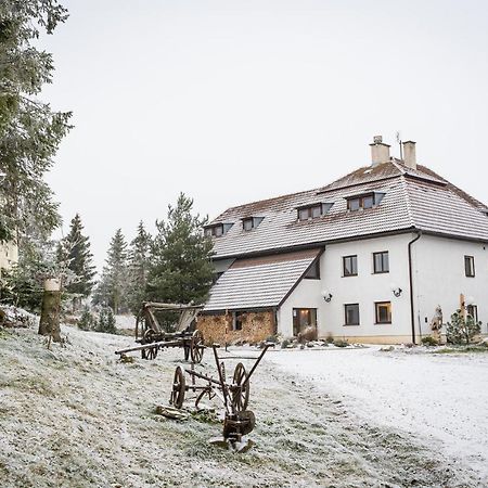 Апартаменты Mlyn Tatry Вельки-Славков Экстерьер фото